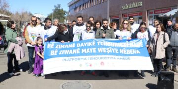 Platforma Tenduristiyê: Bê zimanê dayikê tenduristî nabe