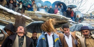 Edetîya hezar serre: Roşanê Pîr Şalyar