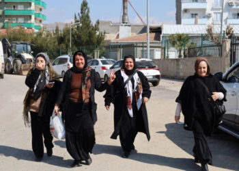 Gelê Botanê dimeşe Amedê