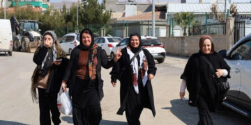 Gelê Botanê dimeşe Amedê