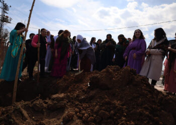 Jinan li deşta darê dar çandin