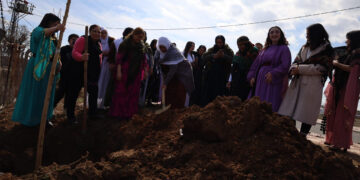 Jinan li deşta darê dar çandin