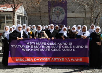 Dayikên Aştiyê: Divê dewlet jî gavan biavêje