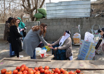 TJA li Amedê amadekariyên mitînga 8ê Adarê dike