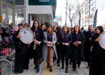 Şaredariya Rêya Armûşê 8ê Adarê bi meşê pîroz kir