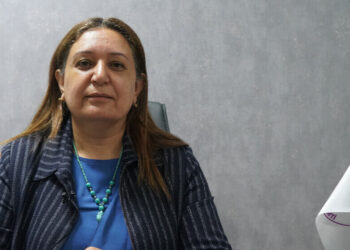 Newroza Amedî: Ma do pêro pîya semedê aştîye biqîrê