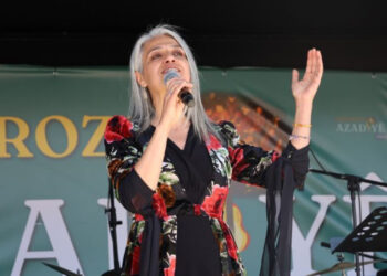 Hemsereka DBP’yî: Ganî dewlete gamanê baweran bierza