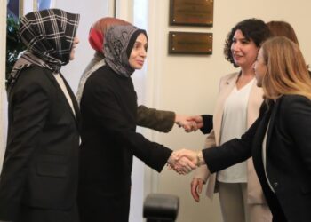 Meclisa Jinan a DEM Partiyê li Meclisê serdana AKPê kir