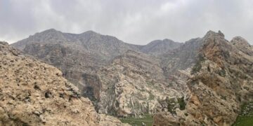 Şirnex de 11 herêmî ameyê qedexekerdene