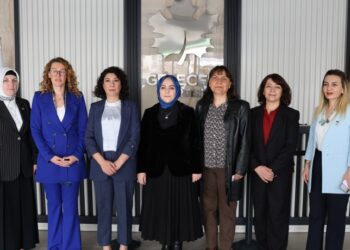 Meclîsê Cinîyan yê DEM Partî Gelecek Partî reyde pêvînayîş kerd