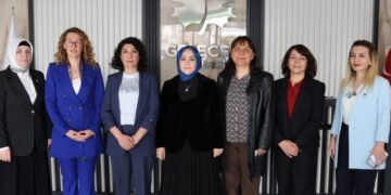 Meclîsê Cinîyan yê DEM Partî Gelecek Partî reyde pêvînayîş kerd