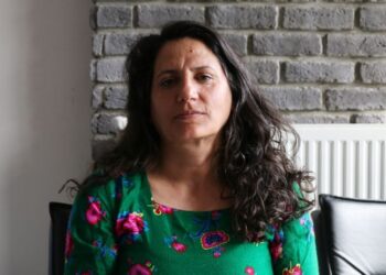 Şaredarîya Gimgimî ra seba cinî û ciwanan projeyî