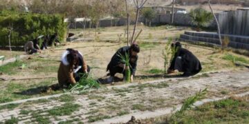 Cinîyan Mexmûr de darê 8ê Adare ronayê