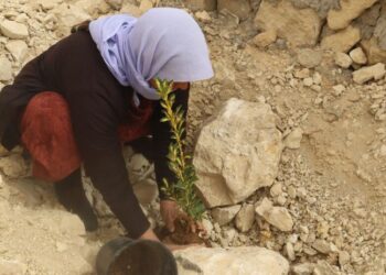 Jinên Êzidi ji bo 4ê Nîsanê li Şengalê dar çandin