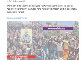Meclisa Ciwanan a DEM Partiyê: Em dimeşin Amarayê