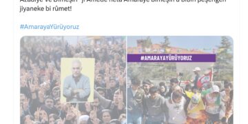 Meclisa Ciwanan a DEM Partiyê: Em dimeşin Amarayê