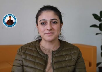 ‘Em vîna jinan esas digirin’