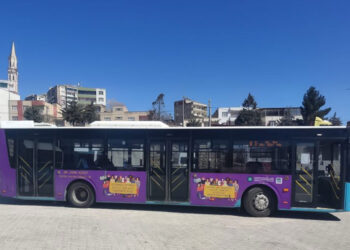 8ê Adare de reso komkî seba cinîyan bêheq o