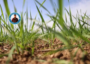 ‘Birnayîşê daristanan bandorê heme ganîyan keno’