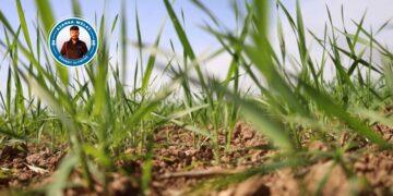 ‘Birnayîşê daristanan bandorê heme ganîyan keno’