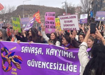 ‘Cinîyê do komelo demokratîk înşa bikerê’