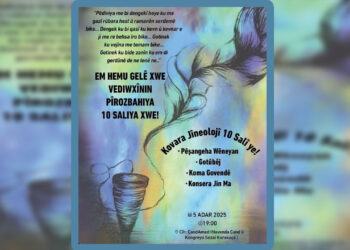 Xebatê 10 serran yê Kovara Jîneolojî do bêrê pîrozkerdiş