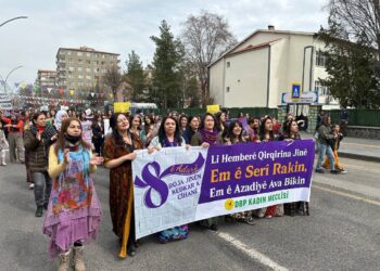 Mîtîngê Amedî bi siloganê ‘Jin jiyan azadî” destpê kerd