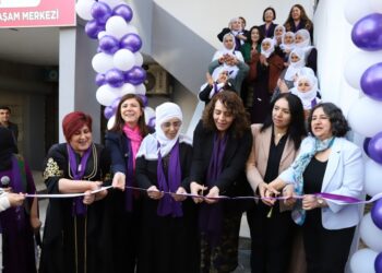 Farqîn de Merkezê Hemkarî û Ciwîyayîşê Cinîyan abî