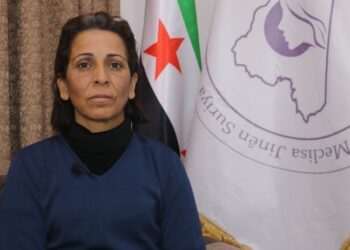 ‘Semedê vengdayîşî ganî Tirkîya gamanê rastan bierzo’