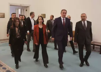 DEM Partî derheqê pêvînayîşanê heyetî de beyanat da