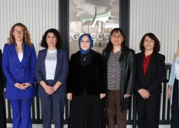 Meclisa Jinan a DEM Partiyê bi Partiya Gelecekê re hevdîtin kir