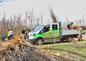 Li 26 gund û taxan darên fêkiyan hatin belavkirin