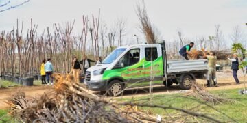 Li 26 gund û taxan darên fêkiyan hatin belavkirin
