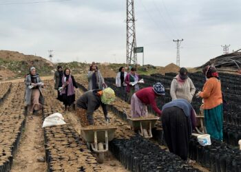 8ê Adarê li jinên kedkar pîroz kirin