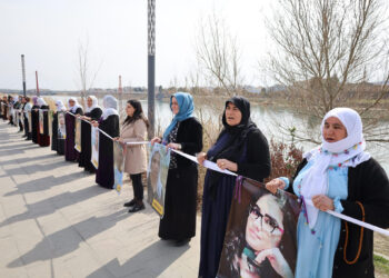 Li ser Çemê Dîcleyê zincîra jiyanê