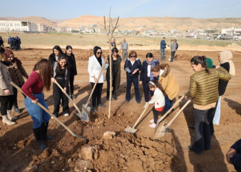 Şaredariya Cizîrê bi boneya 8ê Adarê dar çandin