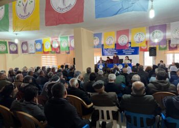 DEM Partî dest bi civînên gel kir