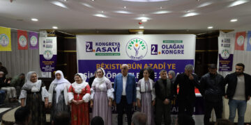 Aysegul Dogan: Divê Birêz Ocalan di şertên azad de pêvajoyê bimeşîne