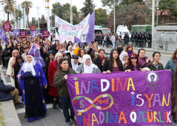 Li Riha û Îdirê meş û şahiya 8ê Adarê