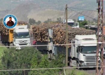 ‘Qanûnên xwezayê û sewalan li Şirnexê ne derbasdar in’