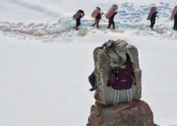 An ji sermayê an jî bi guleyê jiyana xwe ji dest didin