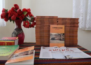 Komkerdişê romanê ‘Lawikê Gund’ vera îtîraz ame kerdiş