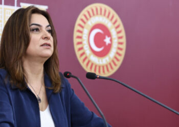 Gulistan Kiliç Koçyîgît: Aktoro tewr muhîm binê tecrîdî de yo