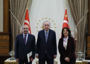 Kombîyayîşê Heyetê Îmraliyî û Erdoganî dest pêkerd