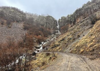 Wext wextê Çirê Vîyalêre o