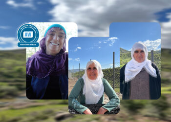 Dayîkê Licêyijî: No barişêko senîn o!