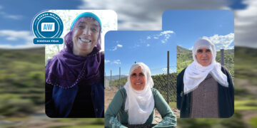 Dayîkê Licêyijî: No barişêko senîn o!