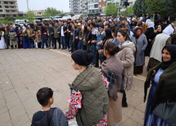 Festîval roja diyine de domyeno