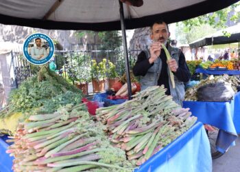 Rêvas, kereng û gulikan reng da tableyan