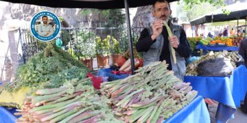 Rêvas, kereng û gulikan reng da tableyan